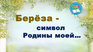 Берёза.