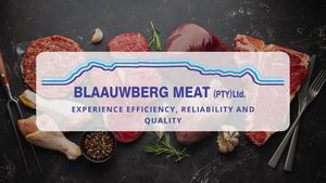 Blaauwberg Group - Presentation (April 2024)