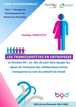 Les Transidentités en entreprise - La fonction RH, un rôle clé pour faire bouger les lignes de l'inclusion des collaborateurs.trices transgenres au sein du collectif de travail