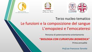 Prima Annualità 3^ Nucleo Tematico 1^ Lezione Le Funzioni E La Composizione Del Sangue