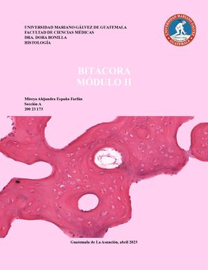 Bitacora Módulo Ii