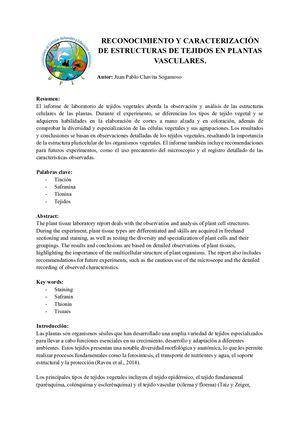 Reconocimiento Y Caracterización De Estructuras De Tejidos En Plantas Vasculares