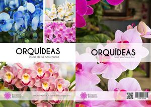 Libro Orquideas Pdf