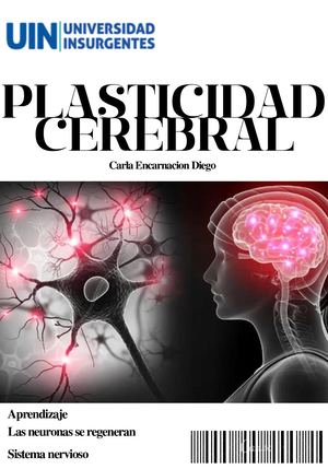 Revista De Plasticidad Cerebral