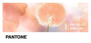 E Catalogue For Pantone 2024