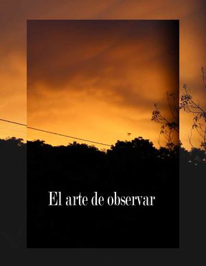 El Arte De Observar
