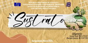 Sustrato. Mapa Mixto