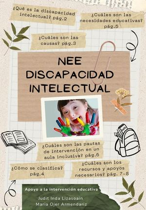 NEE DISCAPACIDAD INTELECTUAL