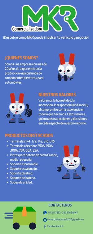 Infografía Mkr