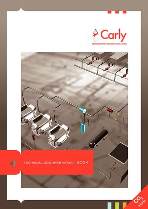 ##02carly Dt En 13022024