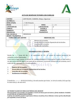 Modelo De Acta De Tutoría (Hacer Copia Antes De Usar)