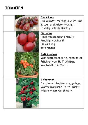 Jungpflanzenmarkt Wirrwuchs 2022