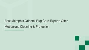 East Memphis Oriental Rug Care Experts Offer Meticulous Cleaning & Protection