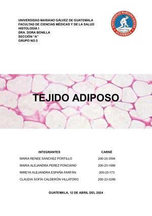 Tejido Adiposo #5
