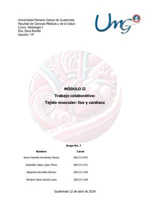 Trabajo Colaborativo Módulo II