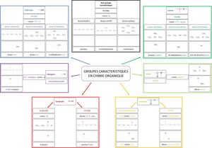 Tspe C8 Carte Mentale 01 Groupes Caractéristiques Correction