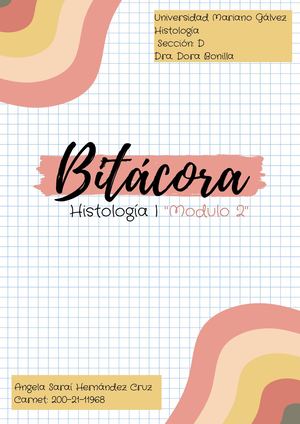 Copia De Notas Ficha Apuntes Imprimir Kawaii A4 Bonita Rosa (1)