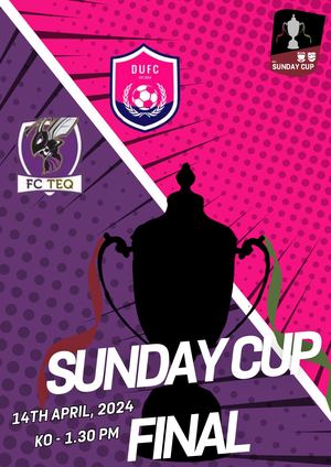 County Cup Finals Sunday Cup