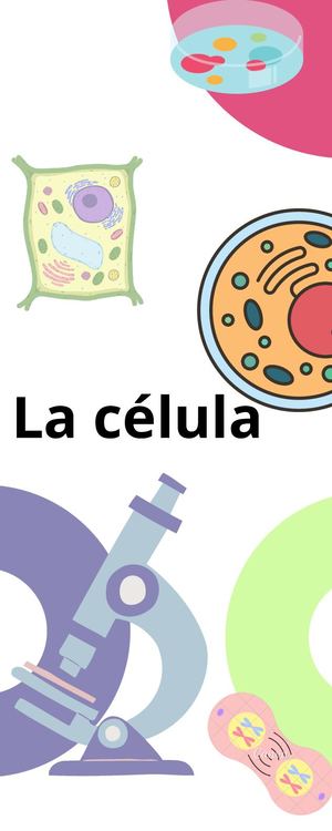 Infografia Linea Del Tiempo Timeline Historia Cronologia Empresa Profesional Multicolor