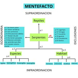 Mentefacto (2)