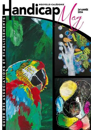 Handicap Mag 2024