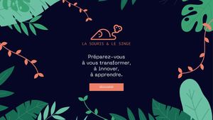 Présentation La souris & le singe