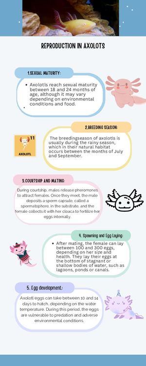 Reproduction In Axolots