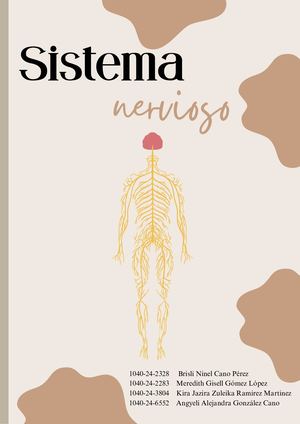 Sistema Nervioso