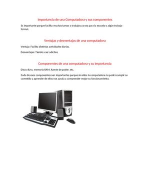 Importancia De Una Computadora Y Sus Componentes