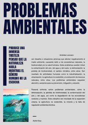 Problemas Ambientales