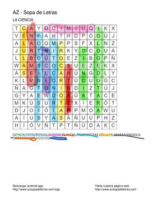 Sopa De Letras16042024