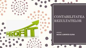 Rezultatul Exercitiului