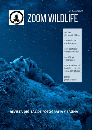 Zoom Wildlife