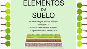 ELEMENTOS DEL SUELO