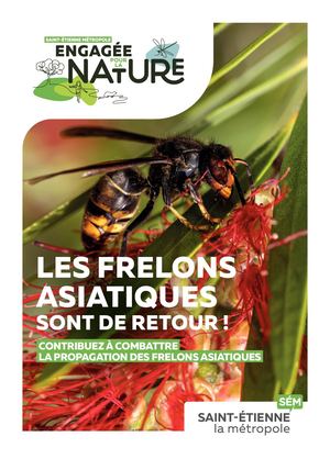 Fabriquer un piège à frelons asiatiques