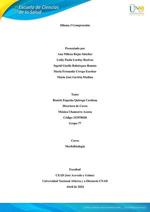 Dilema 3 Comprensión