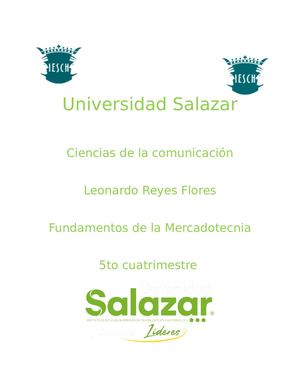 Plan De Marketing leo