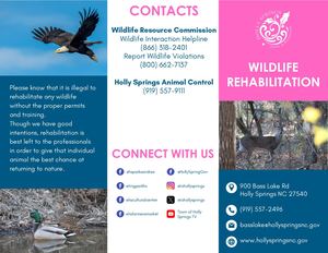 Wildlife Rehab Brochure