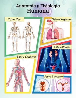 Album anatomía y fisiología de tejidos humanos, animales y vegetal.