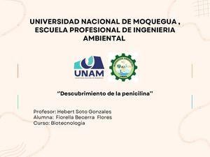 Gráfico De Mapa Conceptual O Mental Investigación Proyecto Doodle A Mano Multicolor