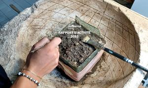 Rapport d'activité 2023