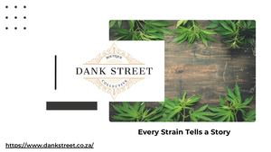 Dank Street Collective - Presentation (April 2024)