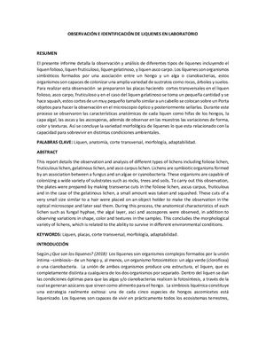 Observación De Liquenes En Laboratorio (1) (1)