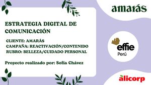 MANUAL GRÁFICO PUBLICITARIO - AMARÁS