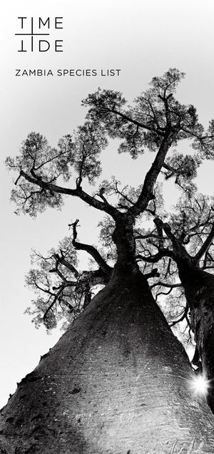 Zambia Species List 2024