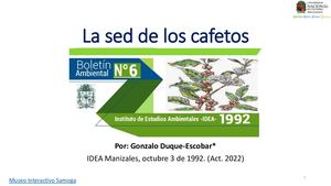 La sed de los cafetos