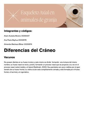 Diferencia En Esqueletos Axiales De Animales De Granja