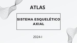Sistema Esquelético Axial