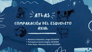 Atlas Esqueleto Axial