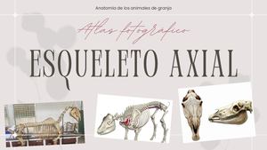 Araujo, Yto & Villalobos, Atlas Del Esqueleto Axial